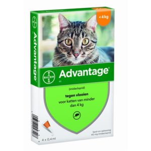 Bayer advantage kat 40 tot 4 kg 4 pip