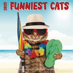 Kalender funniest cats 2025 30x30 cm