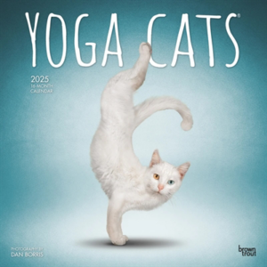 Kalender yoga cats 2025 30x30 cm