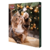 Trixie adventskalender premio kat 37x3,5x24,5cm