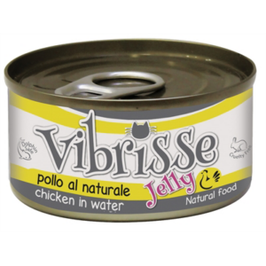 Vibrisse cat jelly kip 24x70 gr