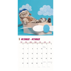 Kalender funniest cats 2025 30x30 cm