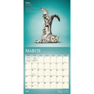 Kalender yoga cats 2025 30x30 cm