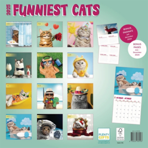 Kalender funniest cats 2025 30x30 cm