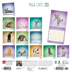 Kalender yoga cats 2025 30x30 cm