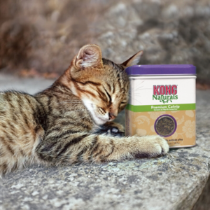 Kong kat catnip navulling 30 gr