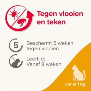 Beaphar fiprotec kat tegen vlooien & teken 3+1 pipet >1 kg en 8 weken