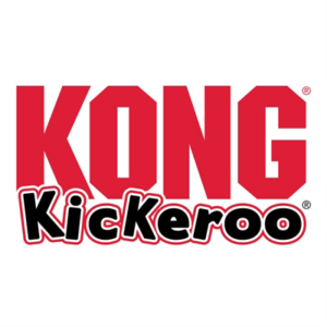 Kong holiday kickeroo character assorti 25,5x9,5x4 cm