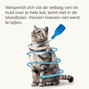 Beaphar fiprotec kat tegen vlooien & teken 3+1 pipet >1 kg en 8 weken