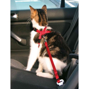 Trixie kattentuig voor in de auto rood 20-50x1,5 cm